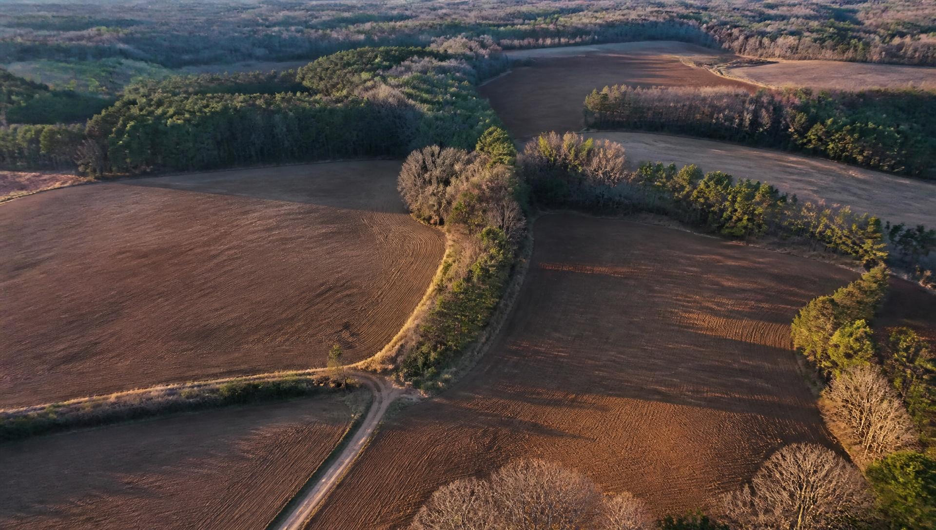 Aerial view of rural North Carolina farmland and wooded parcels